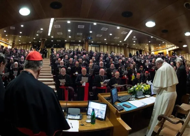 Quel silenzio colpevole sui suicidi delle vittime dei preti pedofili 1 4318040 0047 vaticansummit