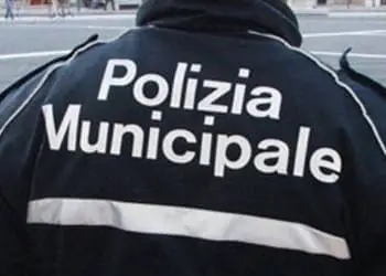 4162774 generi 768x411