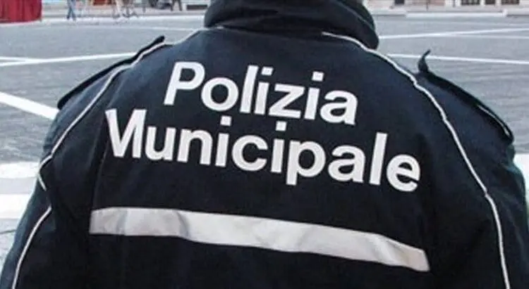 4162774 generi 768x411