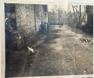 Cattura 15 300x300 1