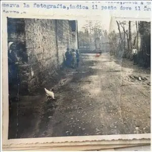 Cattura 15 300x300 1