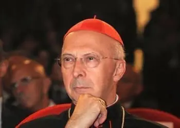 204124713 0dadd616 b0bd 4bab bea9 feab99049fe4