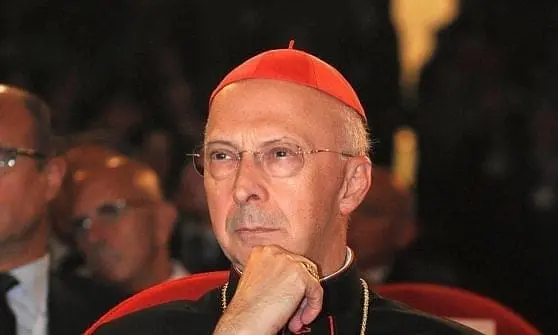 204124713 0dadd616 b0bd 4bab bea9 feab99049fe4