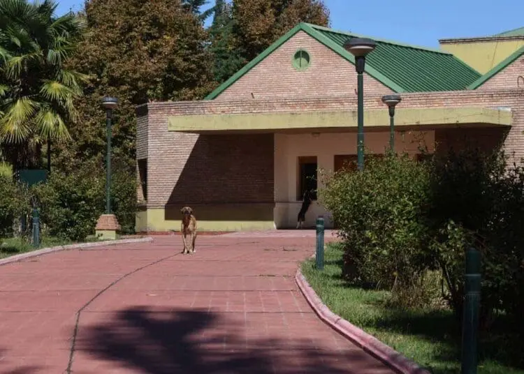 image58f954363fbe42.98456655 1