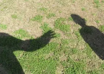 78d7d3c8f49a126e121a05a8ae2492cf