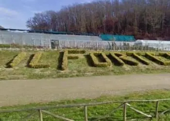 e631134a 877c 11e4 91d9 886df8ae0610 e1498735923534