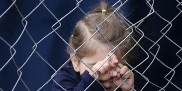 Cosa spinge un sacerdote a compiere abusi sessuali? 2 ts1sfeesmpfpp2f9dxapqaa lb2o83ftzkbbcftbpfwy3jmvend xogxzjcbjyktia2pqx2sycxao4jk4hoxyvxvrk4