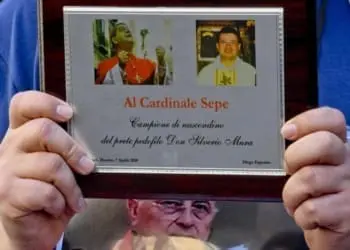 133516743 84415703 0088 4c92 b2fe d9338567a583