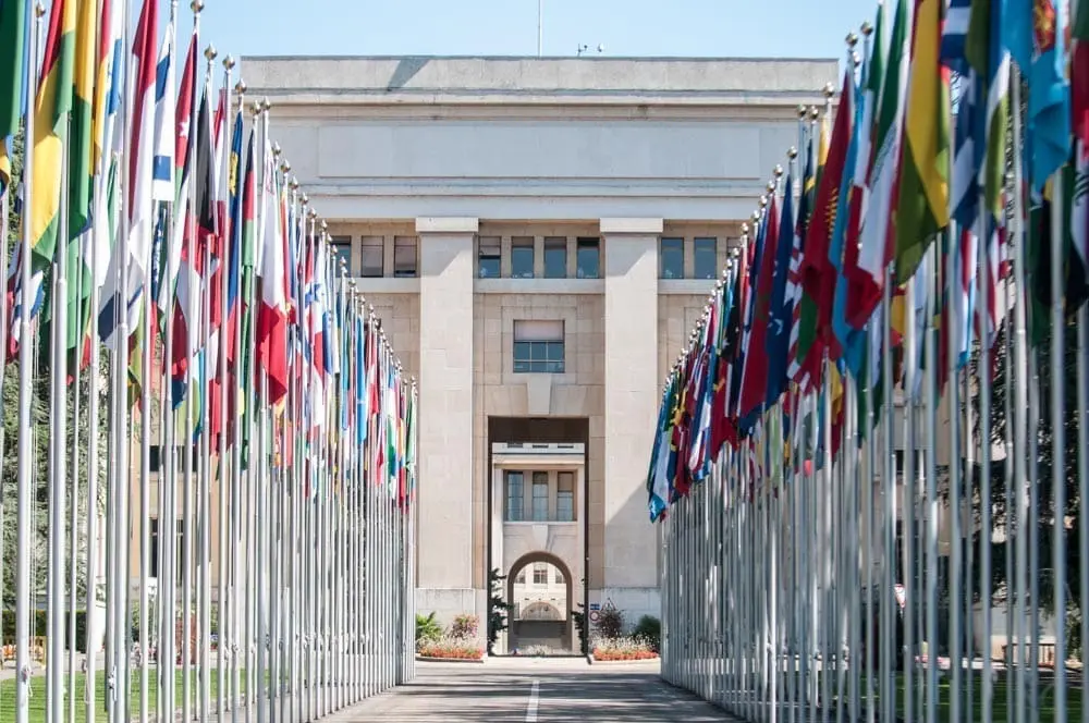 Geneva Blog W 1001