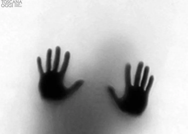 Olanda online il Rapporto 2015 su monitoraggio degli abusi sessuali nella Chiesa articleimage