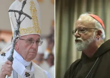 o malley e papa francesco large