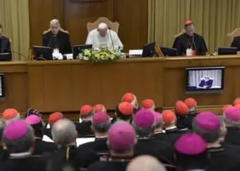 papa francesco summit pedofilia 104952.660x368