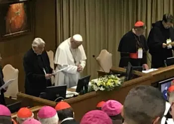 vatican sex abuses summit