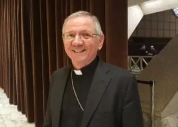 4363360 1014 cipolla