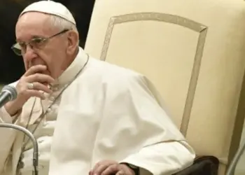 papa francesco chiedo perdono per i preti pedofili02 660x350 1
