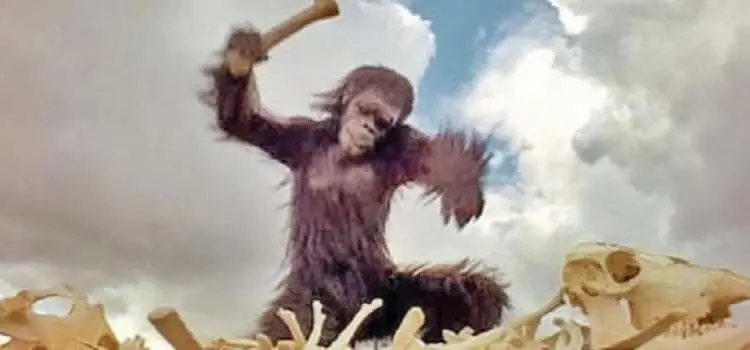 2001 space odyssey ape tool bone 1 1110x400 1