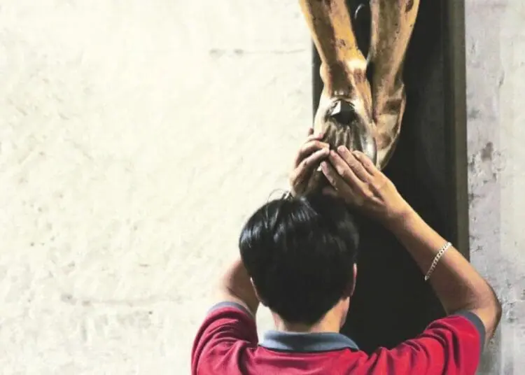 variant med 1200x630 obj18690617 1050x551 1