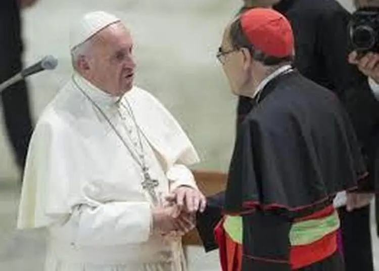 Il cardinale Barbarin assolto in appello, non coprì pedofili ma le vittime vogliono ricorrere alla Corte Suprema 1 5018058 1644 ddddd