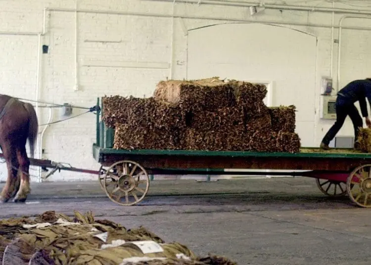 Il lato oscuro degli amish