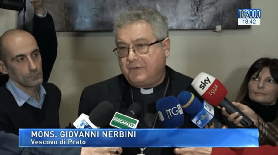 nerbini 2
