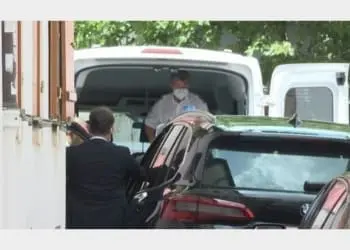 20200701 131017 F455561F.jpg 982521881