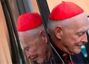 theodore mccarrick.png fdetail 558h720w1280pfhw875d6d5