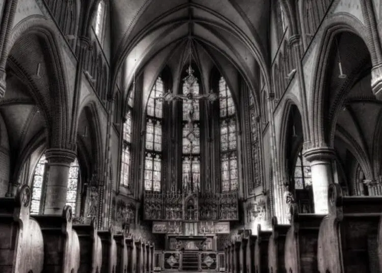 pexels skitterphoto 3478 1 700x441 1