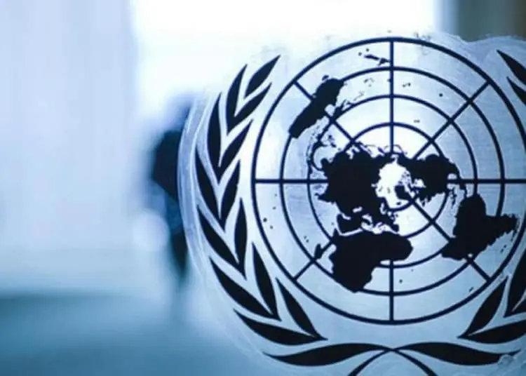 Cosa sono i diritti umani? 2 onu 678x381 1