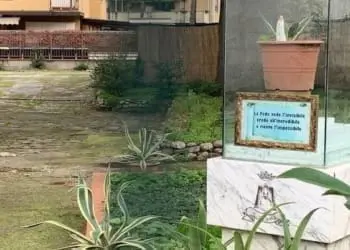 8dbd2796d1d3bf3eeb7aac8fbfa24c876c8a85c6