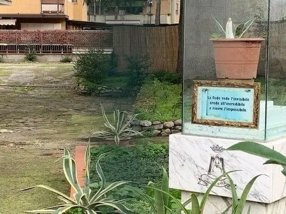 8dbd2796d1d3bf3eeb7aac8fbfa24c876c8a85c6