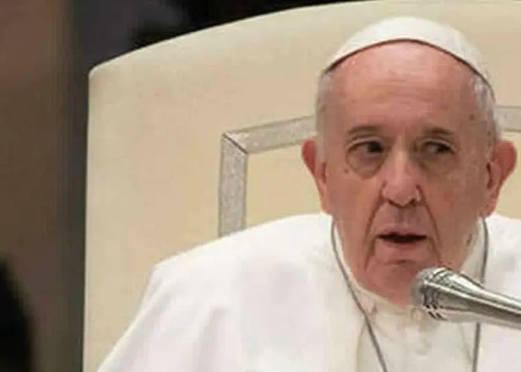 6049660 1706 papa udienza2