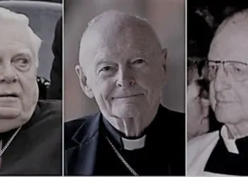 law maciel McCarrick pedofilia