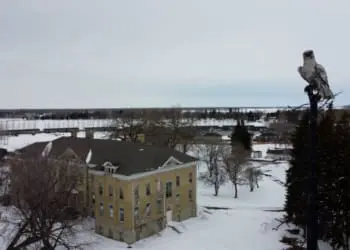 23storie canada portage la praire residential school foto di raffaele manco 1