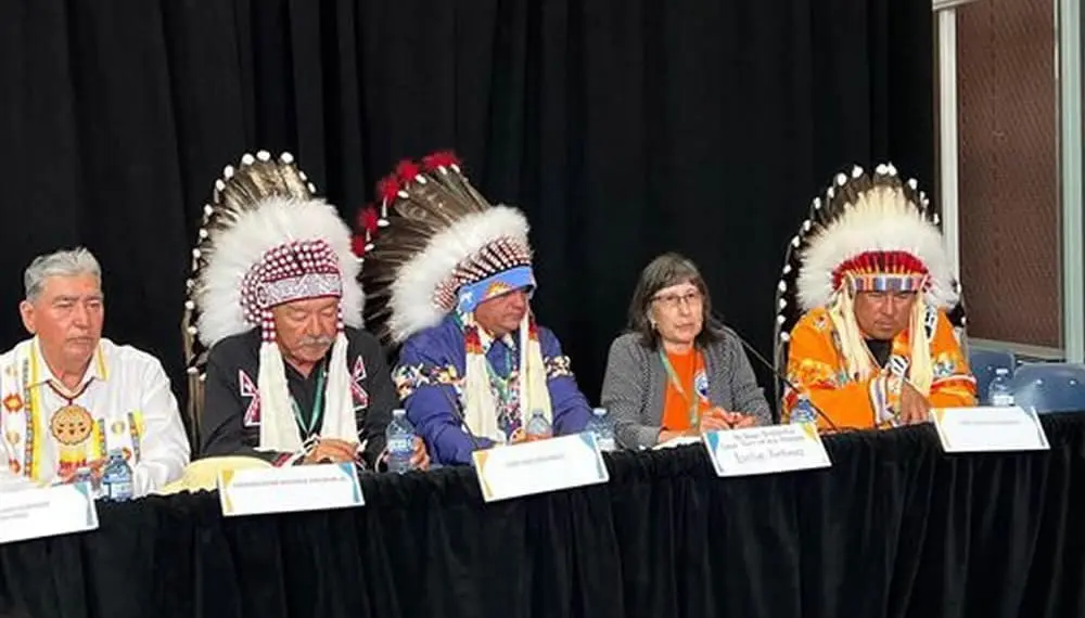 295790837 415782790583182 956478774814107042 n