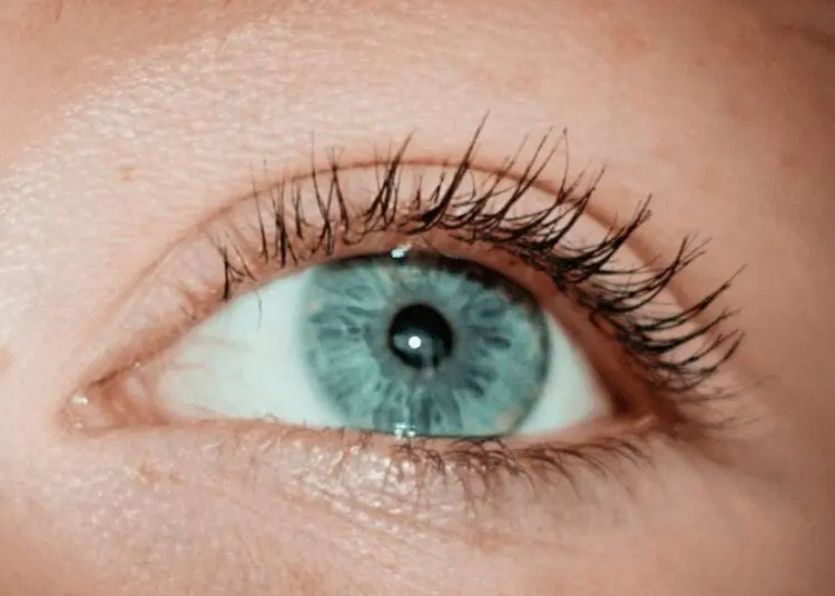 La risposta istituzionale della Chiesa cattolica neozelandese agli abusi sessuali clericali e religiosi: un’analisi critica