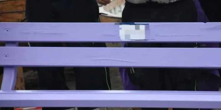 Panchina viola contro gli abusi, Rete l’Abuso diffida l’amministrazione Russo. L’assessore Branca: “Inconcepibile, siamo sensibili al tema della pedofilia”