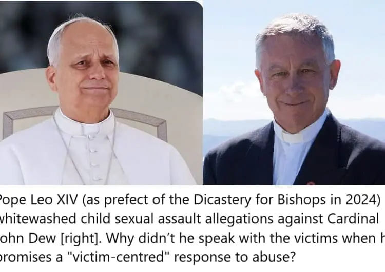 Nuova Zelanda – Domande per Papa Leone XIV