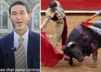 «Io vittima di abusi di un prete chiedo alla Chiesa di fermare quelli sui tori nelle corride»