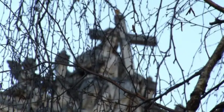 Abusi nella Chiesa: sotto accusa sacerdote altoatesino ancora in servizio