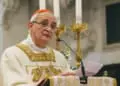INFOVATICANA 324 960x600 1