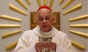 cardinale francis george 609892 tn 300x189 1 2