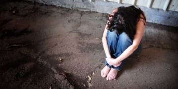 VIOLENZA MINORE 2