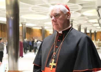 Cardinal Gerhard Muller takes part in a session of the Humanum Conference inside the Vaticans Synod Hall on Nov 17 2014 Credit Bohumil Petrik CNA 12 9 15