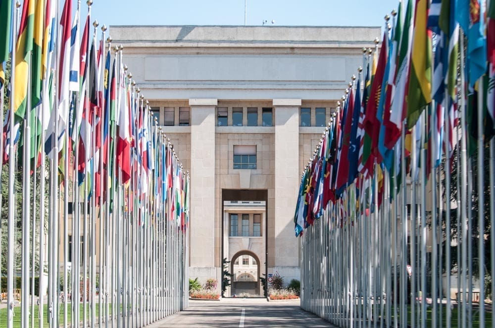 Geneva Blog W 1001