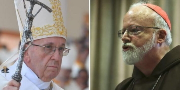 o malley e papa francesco large