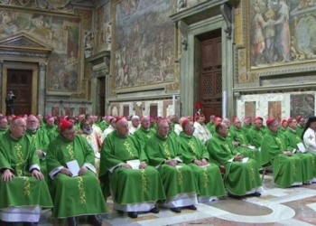 Incontro abusi in Vaticano Papa Francesco dinanzi al mistero del male proteggere i piccoli dai lupi voraci articleimage 2
