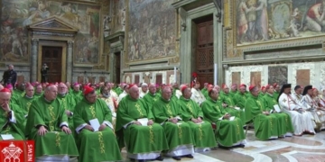 Incontro abusi in Vaticano Papa Francesco dinanzi al mistero del male proteggere i piccoli dai lupi voraci articleimage 2