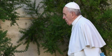 Papa Francesco 1300