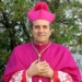 mons domenico sigalini