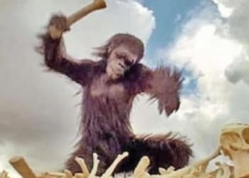 2001 space odyssey ape tool bone 1 1110x400 1